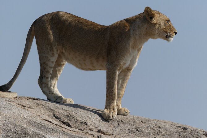 4 Day Private Tour in Tanzania - Practical points to settle before you book