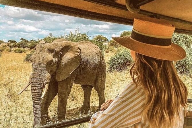 4 Day Private Wilderness Safari in Arusha - Key points to know before booking