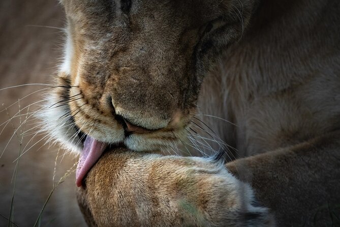 4 Day Private Wilderness Safari in Arusha - Why this four-day route works