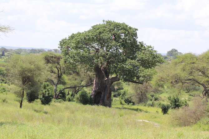 4-Day Safari in Tarangire, Serengeti & Ngorongoro (Mid-range) - Food, lodging, and what the price covers