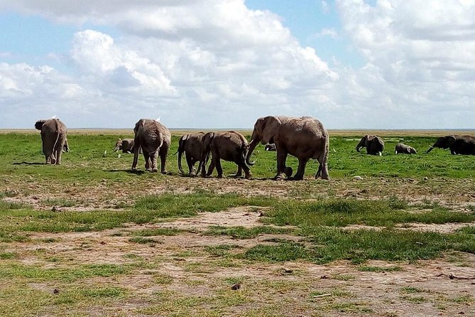 4-Day Safari: Lake Manyara, Serengeti & Ngorongoro - Day 2: The long road into Serengeti