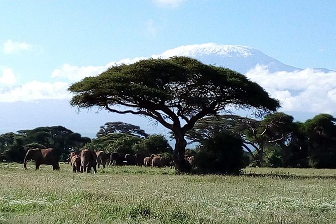 4-Day Safari: Lake Manyara, Serengeti & Ngorongoro - Day 3: Serengeti at sunrise, then Ngorongoro