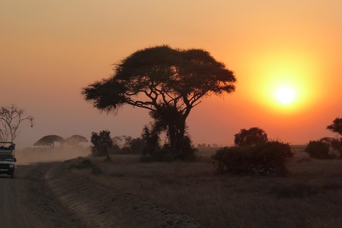 4-Day Safari: Lake Manyara, Serengeti & Ngorongoro - Day two brings the long road to Serengeti