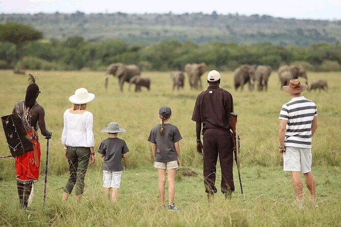 4 Day Safari- Tarangire,Ngorongoro and Serengeti - Three major parks, one fast-moving route