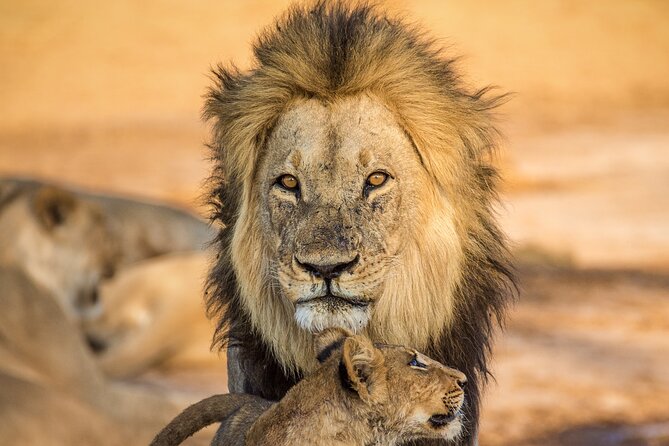 4 Day Safari- Tarangire,Ngorongoro and Serengeti - Serengeti: open plains and the Great Migration