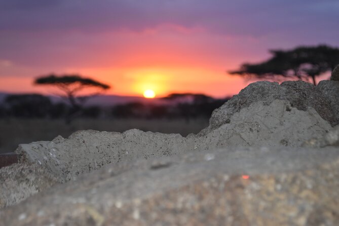 4 Day Safari- Tarangire,Ngorongoro and Serengeti - What the $3,984 price really covers