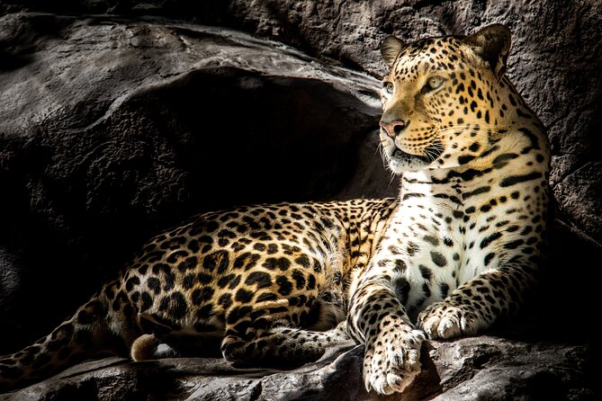4 Day Safari- Tarangire,Ngorongoro and Serengeti - Ngorongoro Crater: a natural wildlife bowl