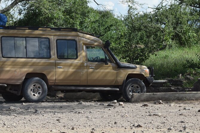 4-Day Safari to Tarangire ,Serengeti and Ngorongoro crater from Arusha - Day 4: Ngorongoro Crater at its most active