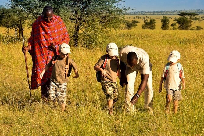 4-Day Safari to Tarangire ,Serengeti and Ngorongoro crater from Arusha - Is $1,515 good value?