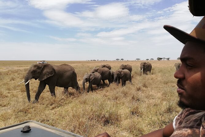 4-Day Safari to Tarangire, Serengeti and Ngorongoro from Arusha - Join a group - Camping, meals, and what the price covers