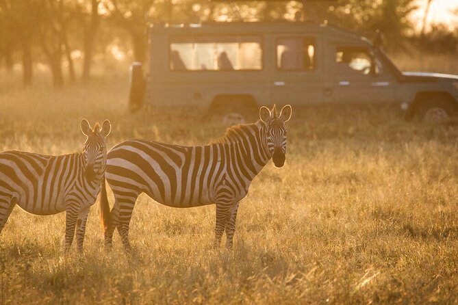 4-Day Serengeti, Ngorongoro, & Lake Manyara Budget Tour - Day one: the long road from Arusha to the Serengeti