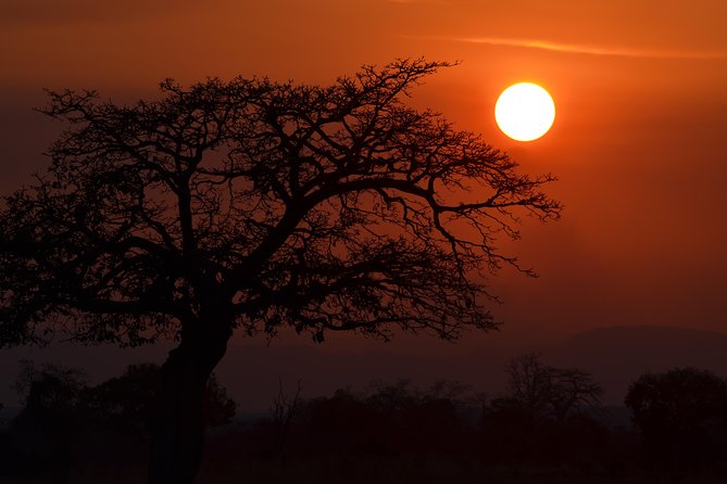 4 Day Serengeti & Ngorongoro Safari Wildlife Wonders of Tanzania - The guide can make or break the experience