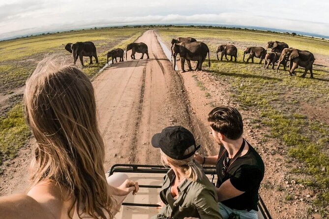 4-Day |Sharing Safari, Tarangire, Serengeti, Ngorongoro - Key points to know before booking
