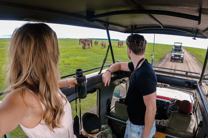 4-Day |Sharing Safari, Tarangire, Serengeti, Ngorongoro - Day 3: Two Serengeti days improve your odds