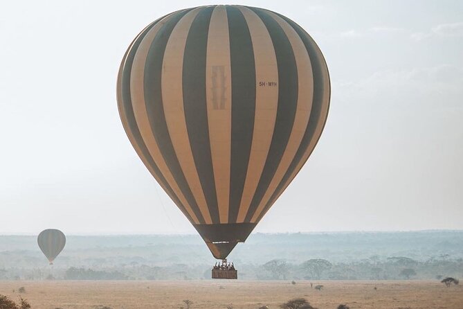 4-Day |Sharing Safari, Tarangire, Serengeti, Ngorongoro - Day 4: Ngorongoro Crater and a late airport transfer