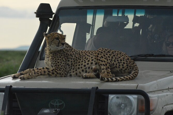 4-Day Small-Group Tour of Tanzania - How this four-day Tanzania route works