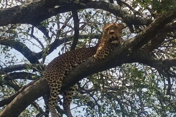 4-Day Small-Group Tour of Tanzania - What the $1,406 price really covers