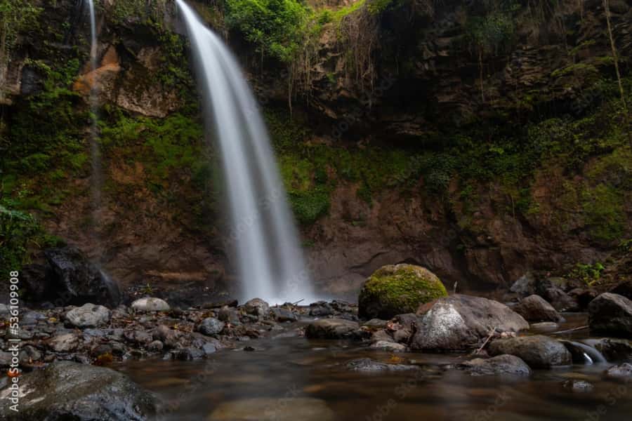 4-Day Southern Tanzania Udzungwa and Mikumi NP - Four details that shape the experience
