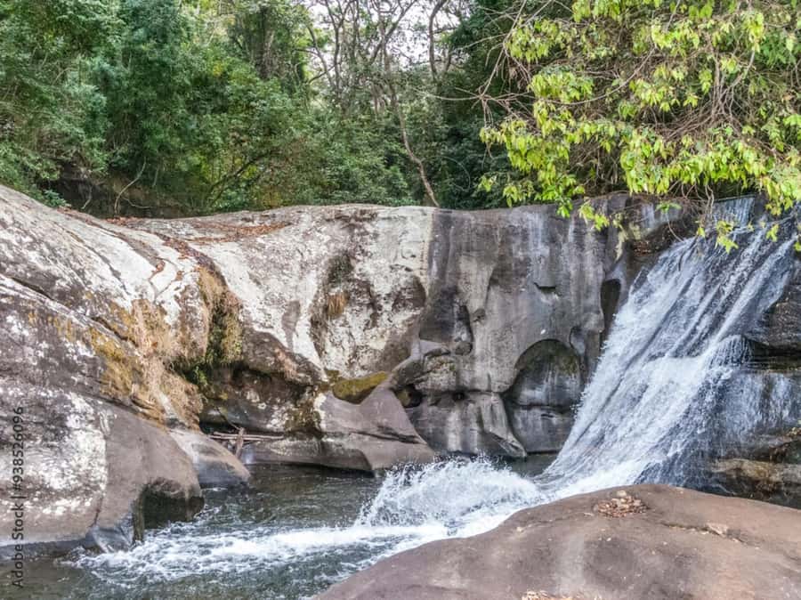 4-Day Southern Tanzania Udzungwa and Mikumi NP - Why this southern Tanzania route works