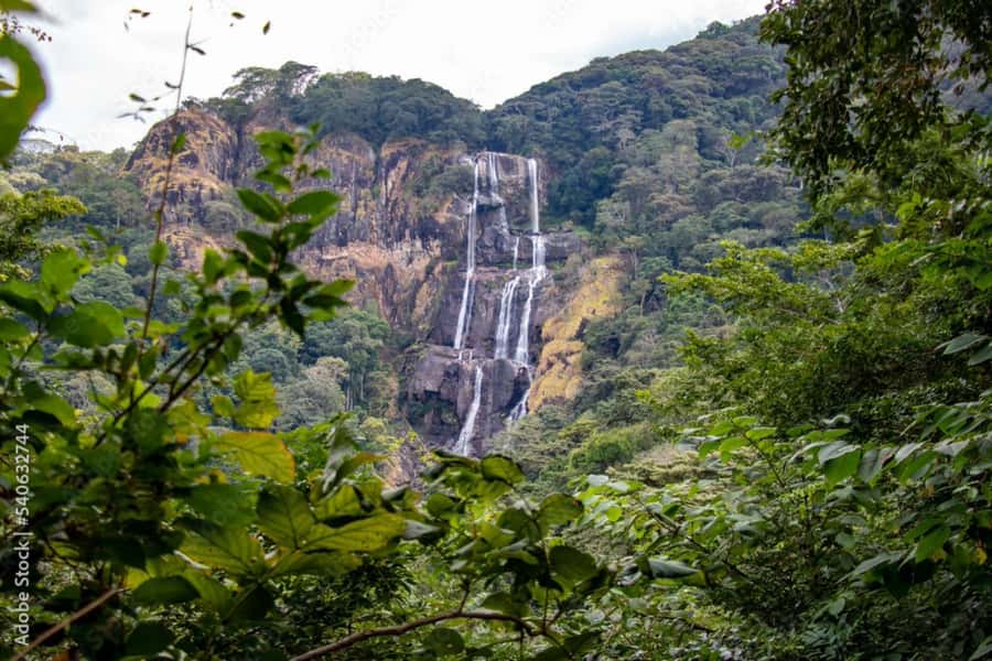 4-Day Southern Tanzania Udzungwa and Mikumi NP - Day 3: Udzungwa hiking and Sanje Waterfalls