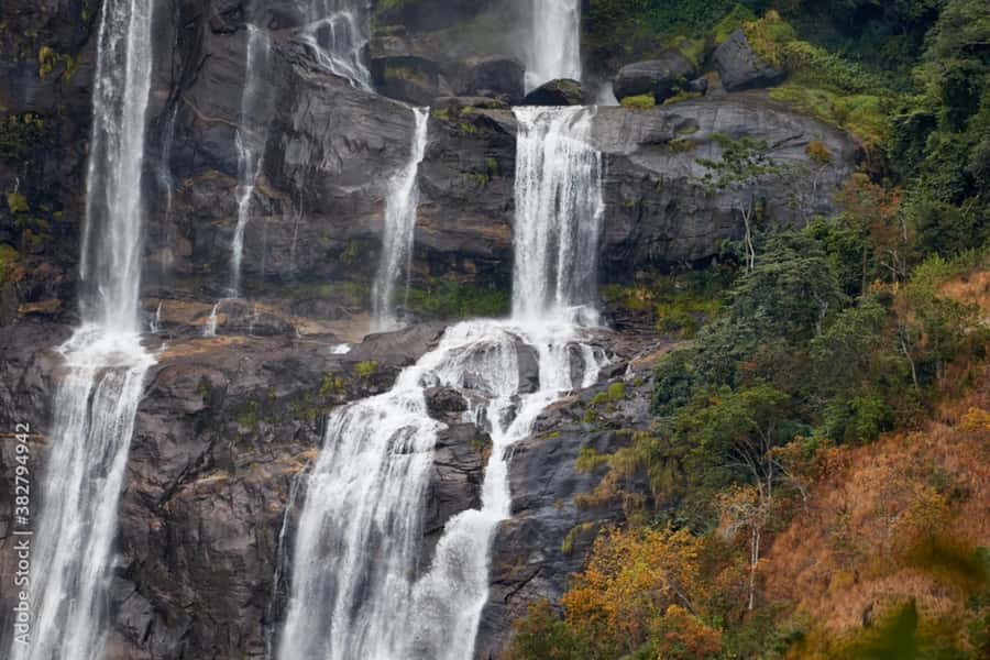 4-Day Southern Tanzania Udzungwa and Mikumi NP - Camp Bastian, meals, and what the price covers