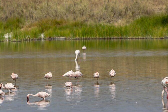 4 Day Tanzania Afordable Safari ft Two Night Serengeti - Days two and three, making room for the Serengeti