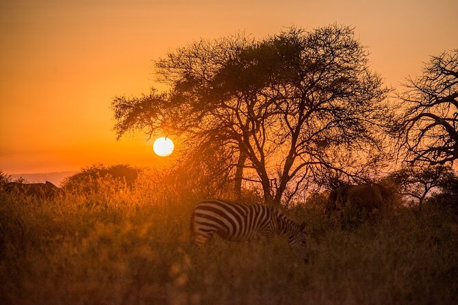 4-Day Tanzania Camping Safari Experience - Is $2,800 per person good value?