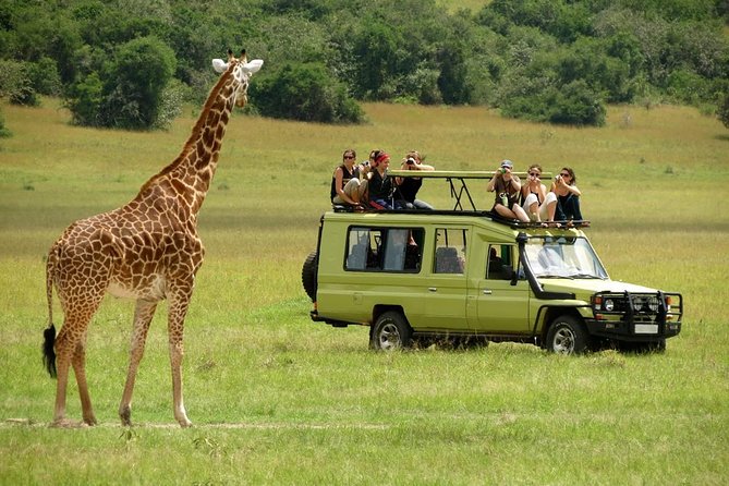 4-Day Tanzania Camping Safari to Lake Manyara, Serengeti, and Ngorongoro Crater - Day one: Lake Manyara after an 8:00 a.m. pickup