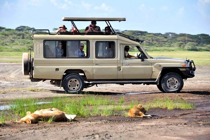 4-Day Tanzania Camping Safari to Lake Manyara, Serengeti, and Ngorongoro Crater - Camping, food, and what you actually receive