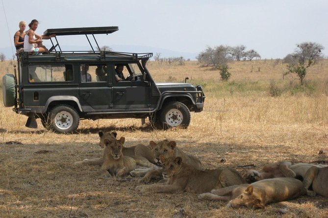 4-Day Tanzania Camping Safari to Lake Manyara, Serengeti, and Ngorongoro Crater - Is $1,675 a fair price?