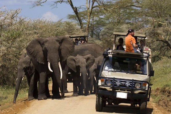 4-Day Tanzania Camping Safari to Lake Manyara, Serengeti, and Ngorongoro Crater - Day two: The long road into Serengeti National Park