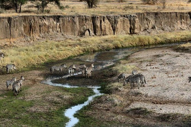 4 Day Tanzania Luxury Safari - Day 3: A morning game drive and Olduvai Gorge