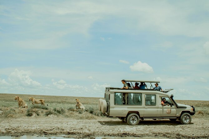 4 Day Tanzania Luxury Safari - Day 4: Descending into Ngorongoro Crater