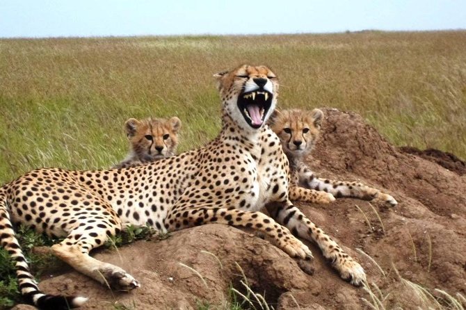 4 Day Tanzania Luxury Safari - What the luxury label means here