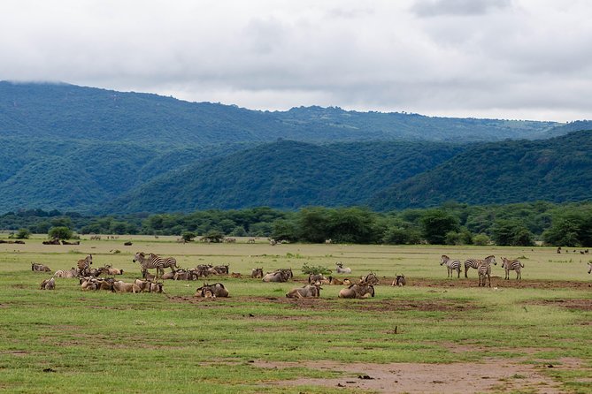 4-day Tanzania Safari - Why this route works in only four full safari days