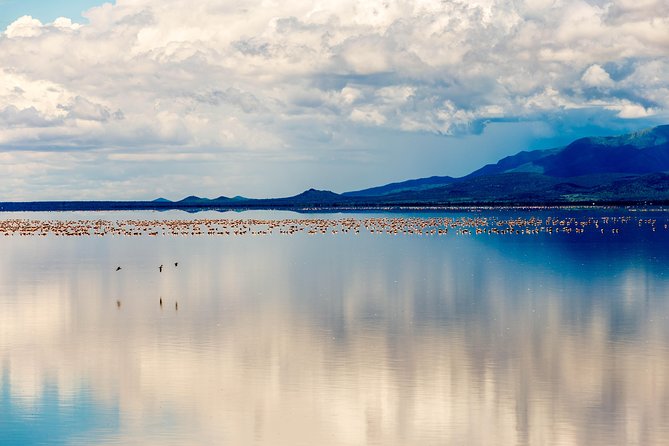 4-day Tanzania Safari - The vehicle, guide, and daily comfort