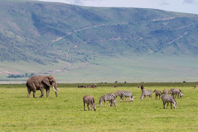 4-day Tanzania Safari - Lodges, meals, and what the price covers