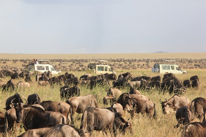 4 Day Tanzania Safari Tarangire Serengeti and Ngorongoro Bliss - Day 1: Tarangire’s elephants and baobabs