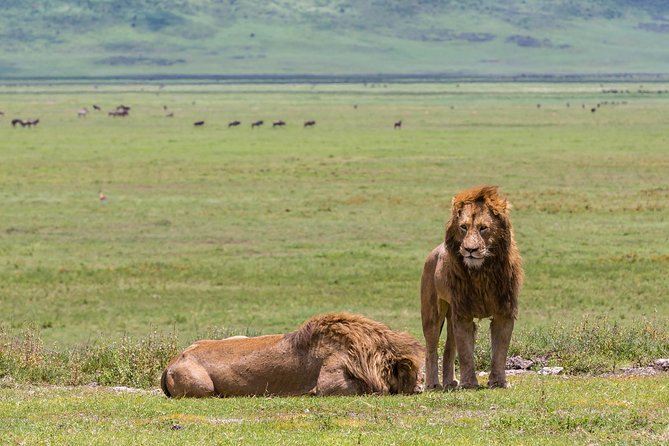 4-day Tanzania Safari - Arrival at Mount Meru Hotel and Arusha