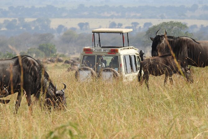 4-Day Tarangire, Serengeti, Ngorongoro Crater - What the four-day route really delivers