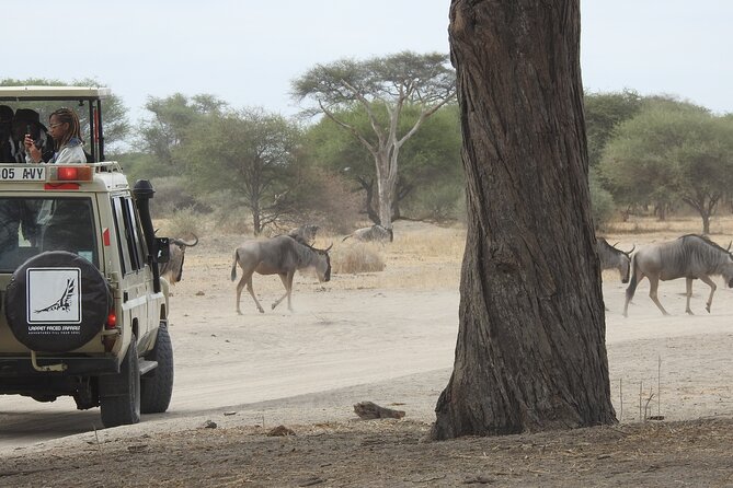 4-Day Tarangire, Serengeti, Ngorongoro Crater - The $2,656 price and what it covers