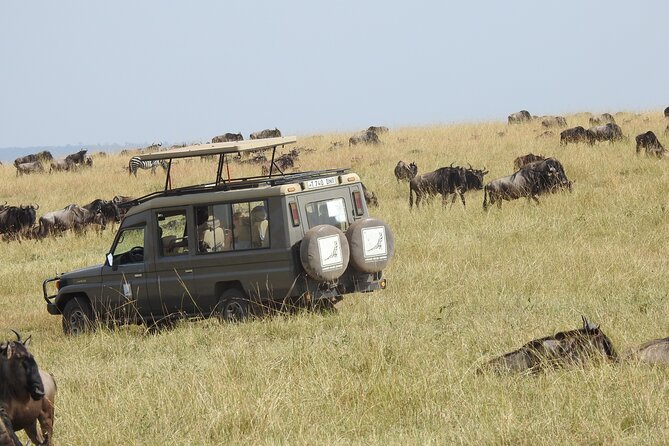 4-Day Tarangire, Serengeti, Ngorongoro Crater - Day 1: Baobabs and elephants in Tarangire