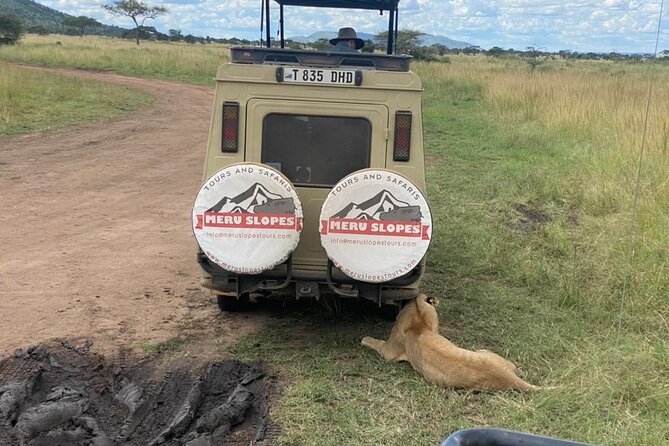 4-Day Tarangire Serengeti, Ngorongoro & Maasai Guided group tour - Day 4: Down into Ngorongoro Crater