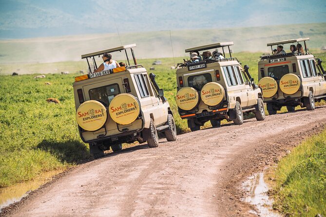 4-Day The Short of Tanzania Safari - Why this four-day route works