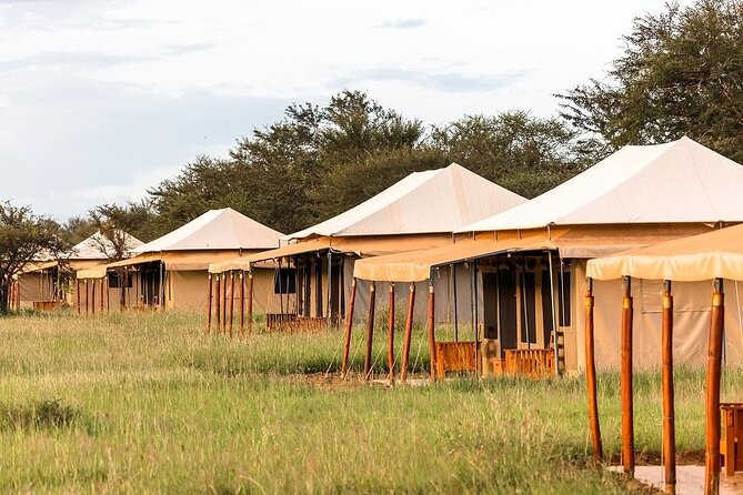 4-Day The Short of Tanzania Safari - Day 3: One more Serengeti game drive