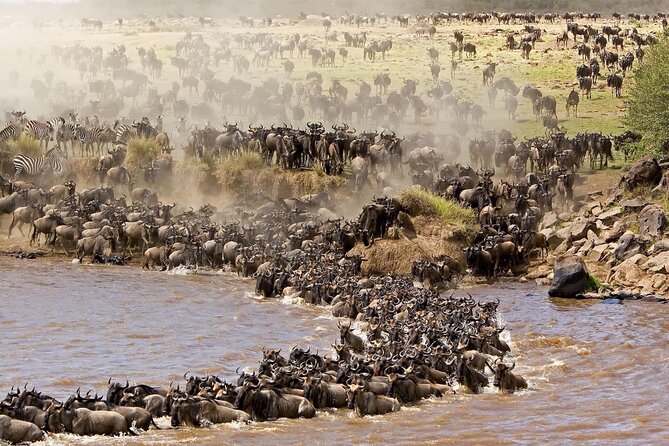 4 Day Tour in Tarangire and Serengeti and Ngorongoro Crater - Five things to know before you book