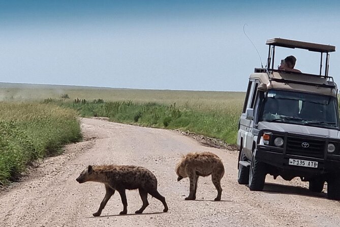 4 Day Tour in Tarangire and Serengeti and Ngorongoro Crater - Day 4: Inside Ngorongoro Crater
