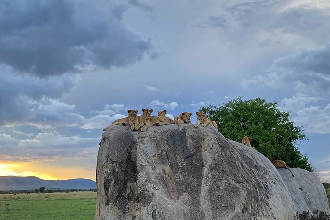 4 Day Tour in Tarangire and Serengeti and Ngorongoro Crater - The vehicle, timing, and group size