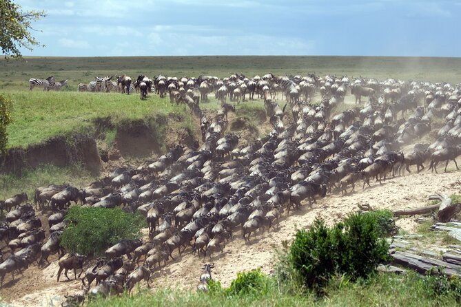 4-Day Tour to Tarangire, Serengeti and Ngorongoro - Key points to know before booking