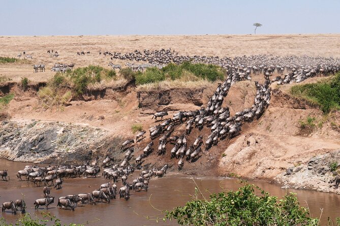 4-Day Tour to Tarangire, Serengeti and Ngorongoro - Why this four-day route works